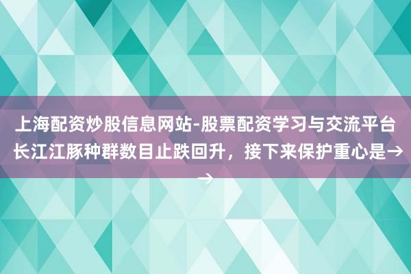 上海配资炒股信息网站-股票配资学习与交流平台 长江江豚种群数目止跌回升，接下来保护重心是→