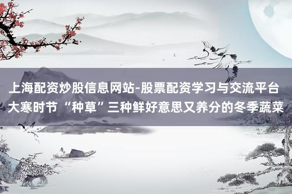 上海配资炒股信息网站-股票配资学习与交流平台 大寒时节 “种草”三种鲜好意思又养分的冬季蔬菜