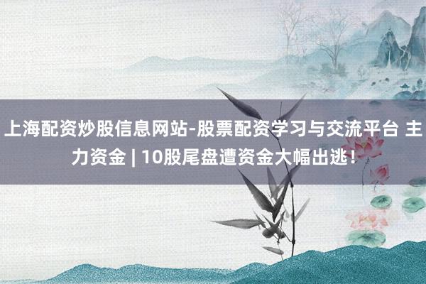 上海配资炒股信息网站-股票配资学习与交流平台 主力资金 | 10股尾盘遭资金大幅出逃！