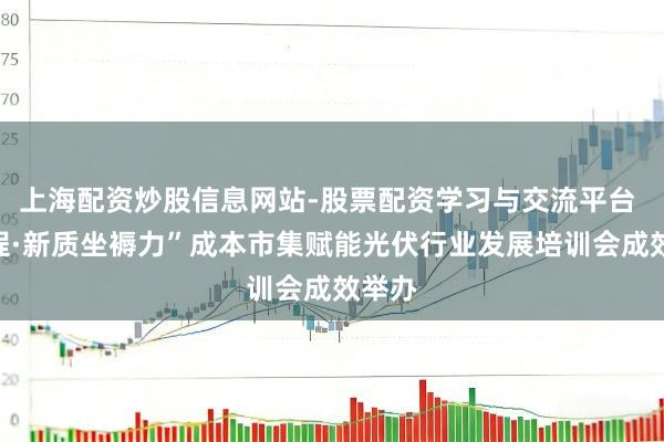 上海配资炒股信息网站-股票配资学习与交流平台 “登程·新质坐褥力”成本市集赋能光伏行业发展培训会成效举办