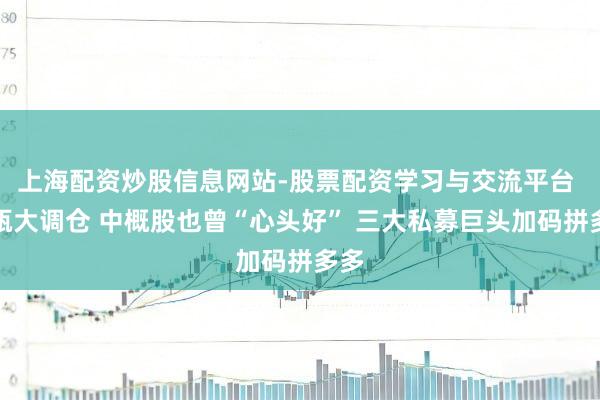上海配资炒股信息网站-股票配资学习与交流平台 高瓴大调仓 中概股也曾“心头好” 三大私募巨头加码拼多多