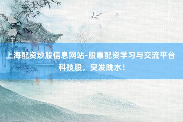 上海配资炒股信息网站-股票配资学习与交流平台 科技股，突发跳水！