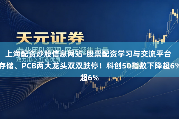上海配资炒股信息网站-股票配资学习与交流平台 存储、PCB两大龙头双双跌停！科创50指数下降超6%