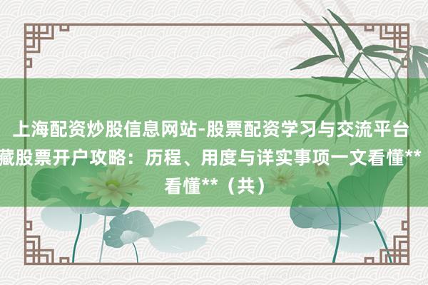 上海配资炒股信息网站-股票配资学习与交流平台 **西藏股票开户攻略：历程、用度与详实事项一文看懂**（共）